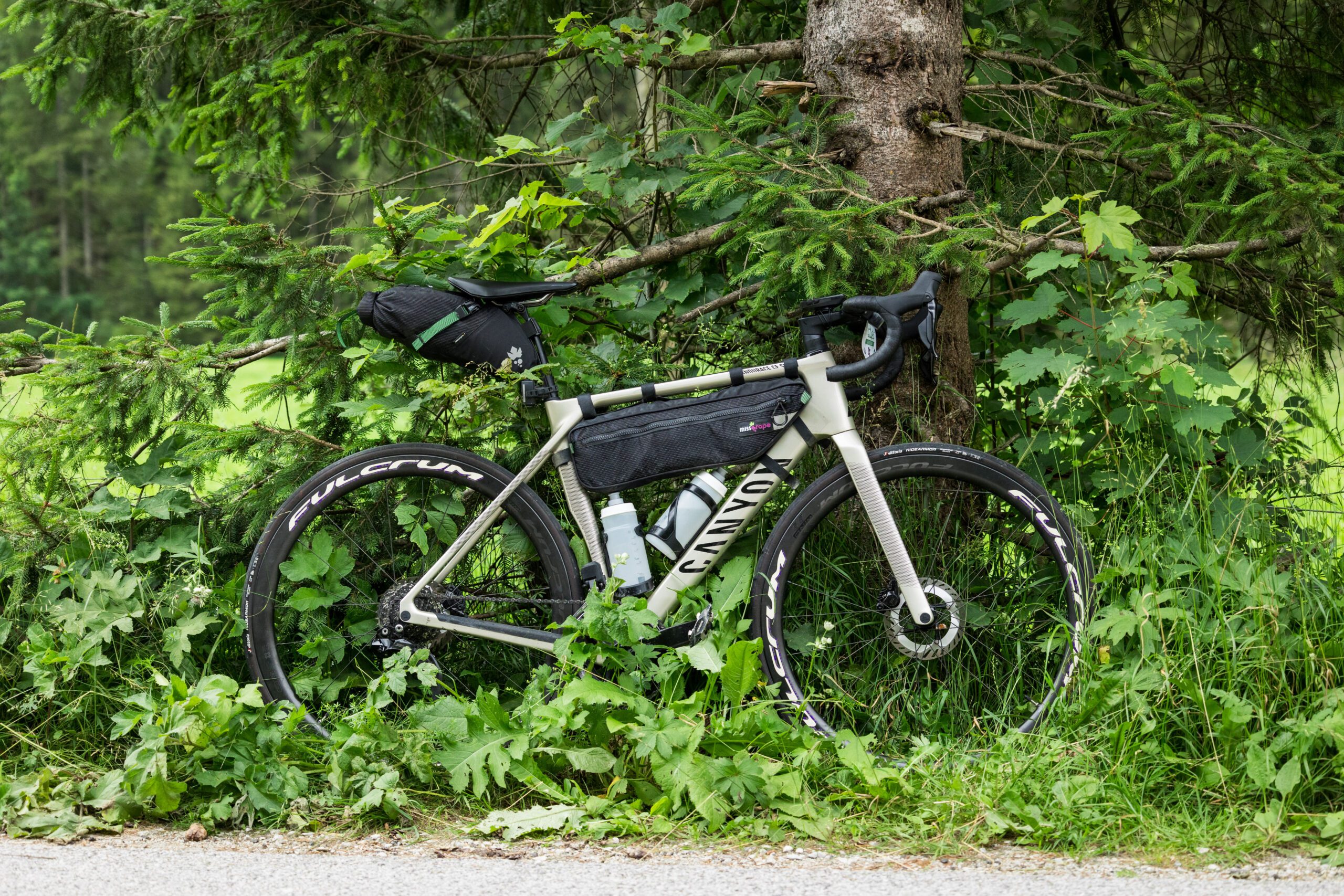 Canyon endurace as gravel bike on sale