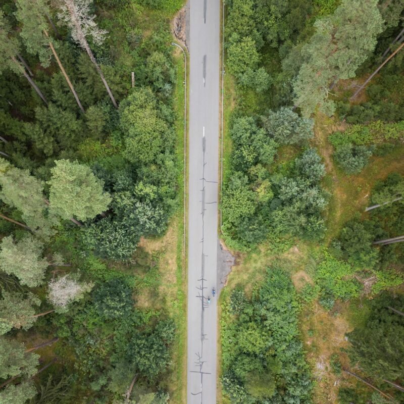 a road with trees around it